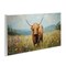 Stupell Industries Shaggy Highland Cow Wall Plaque, design by Petal Prints Design